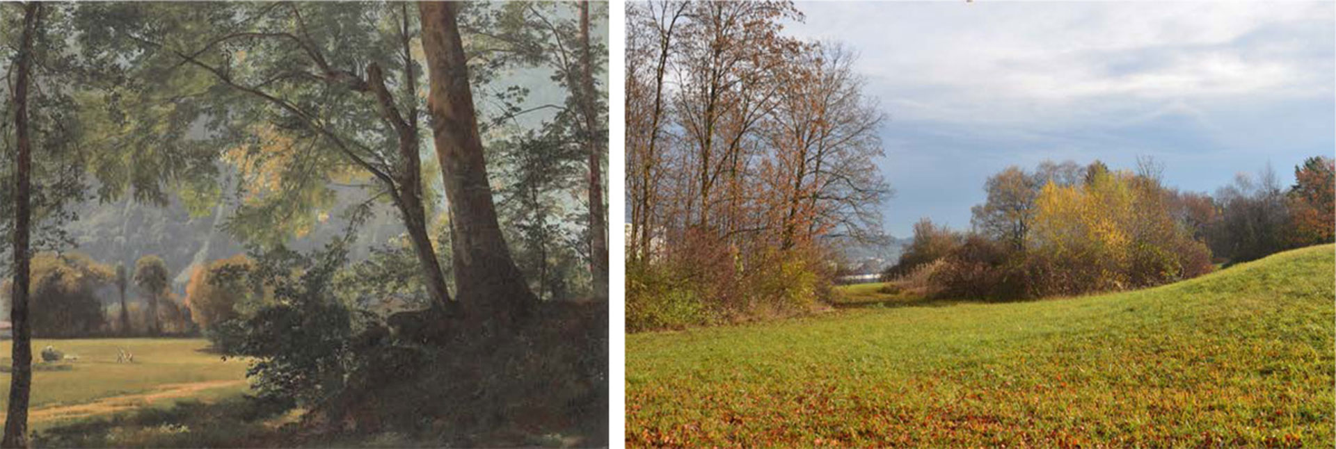 Der Wald + die Lichtung: Johann Gottfried Steffan, "Ausblick aus einem Wald" 1859-05 (links) / Butzenbüel Bestand (rechts)