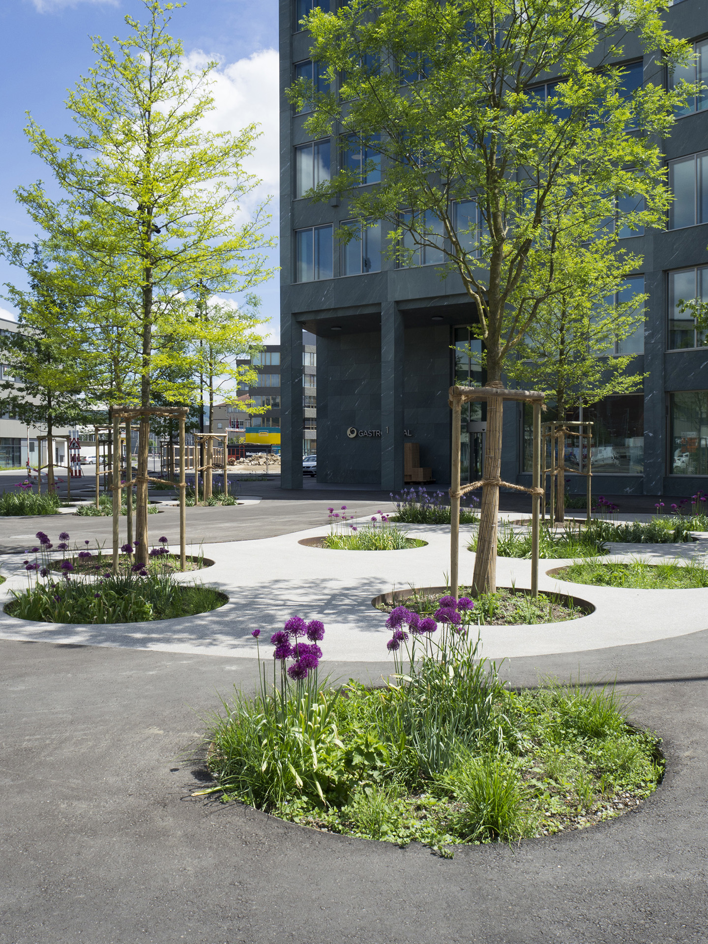 A tree filter leads from the traffic area of the Gaisplatz to the neighbourhood