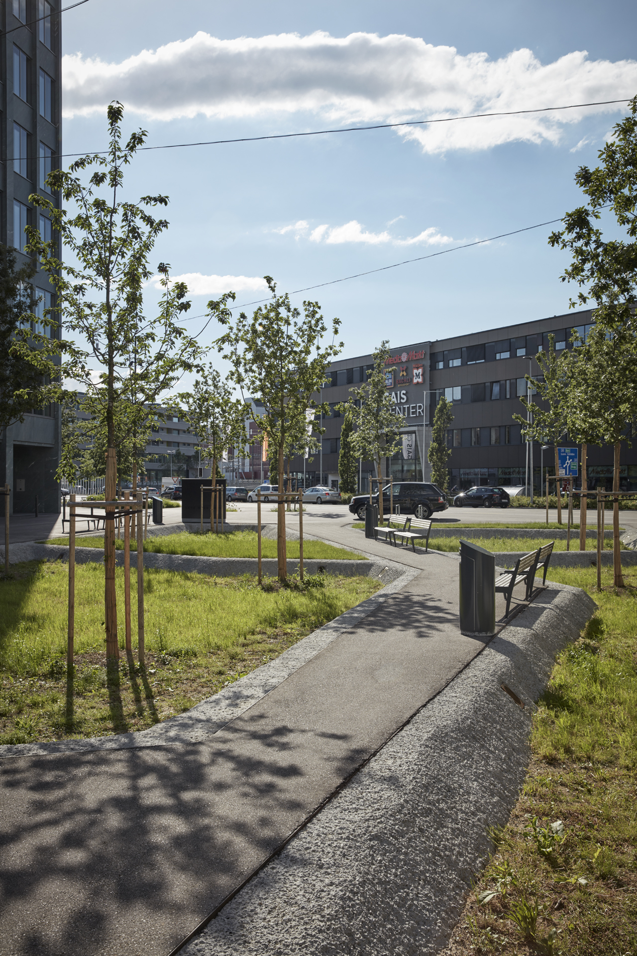 Baumkörper & Versickerungselement - eine Parkbank leitet vom Gaisplatz zum Torfeldplatz