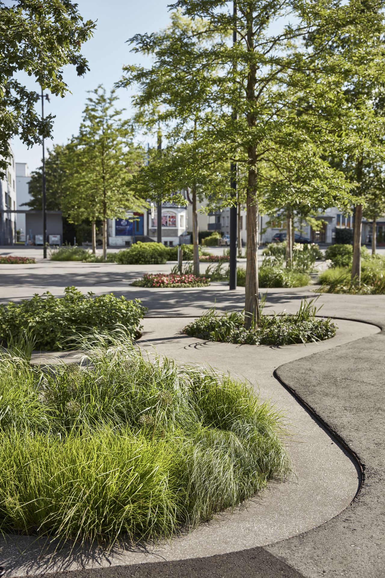 Islands embedded in the asphalt pavement serve as retention & infiltration areas