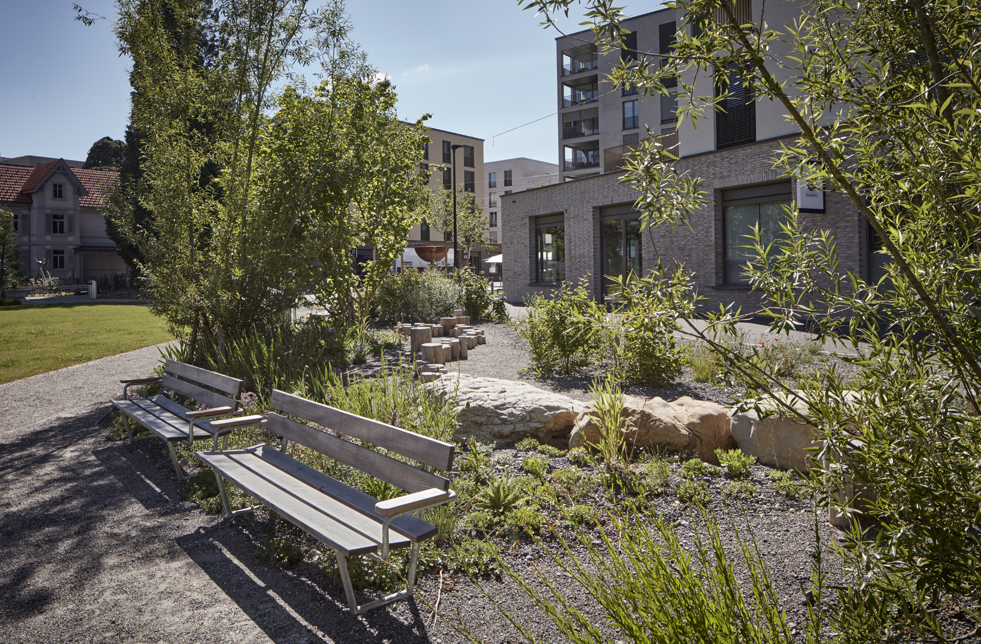 Der Parksaum als Rücken mit Blick auf die offene Spielwiese