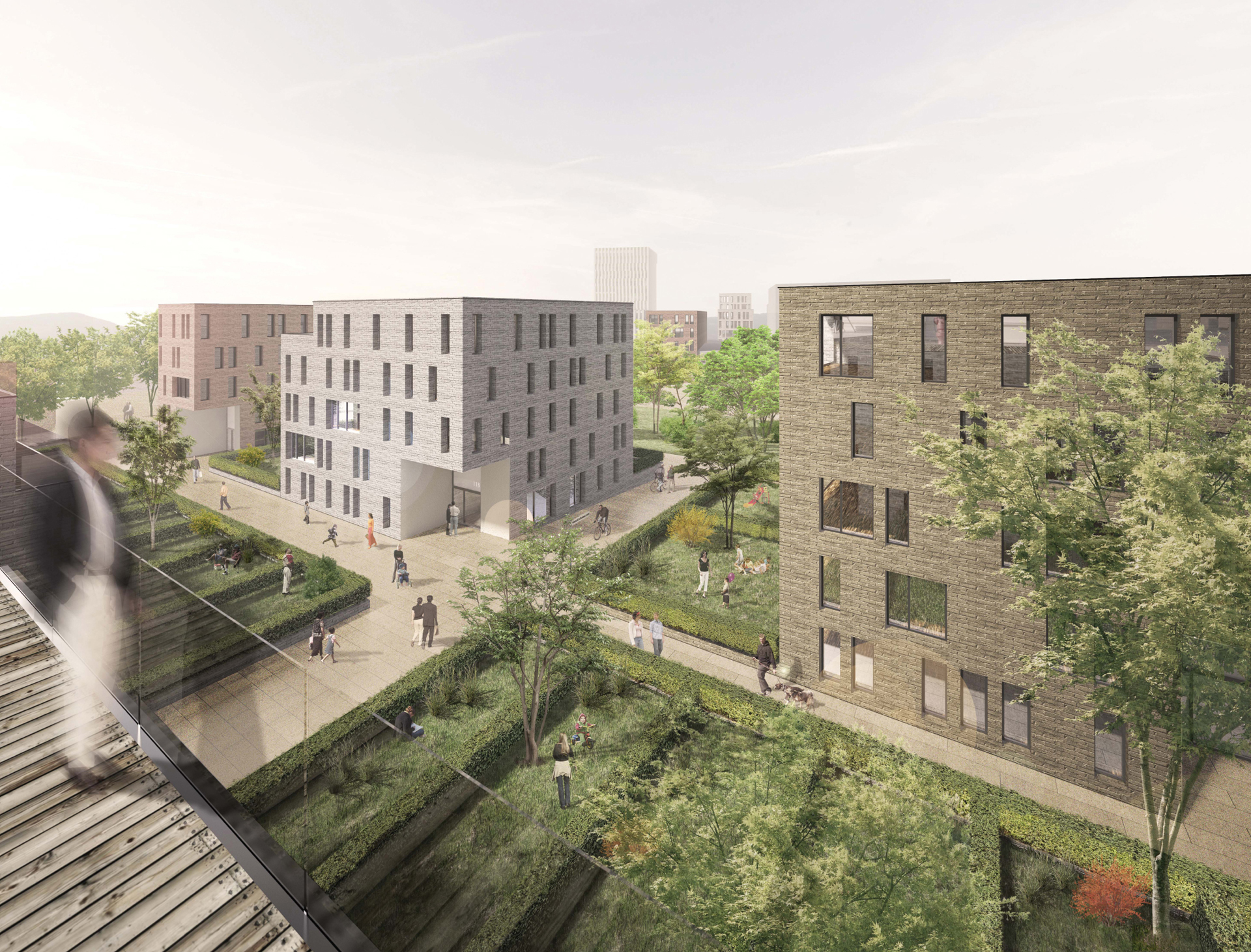 Competition phase: perspective of the garden quarter